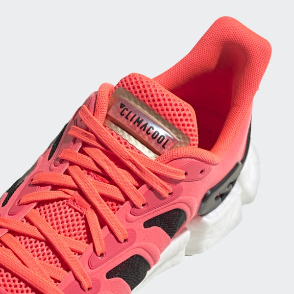 Pink Climacool Vento Shoes 71729