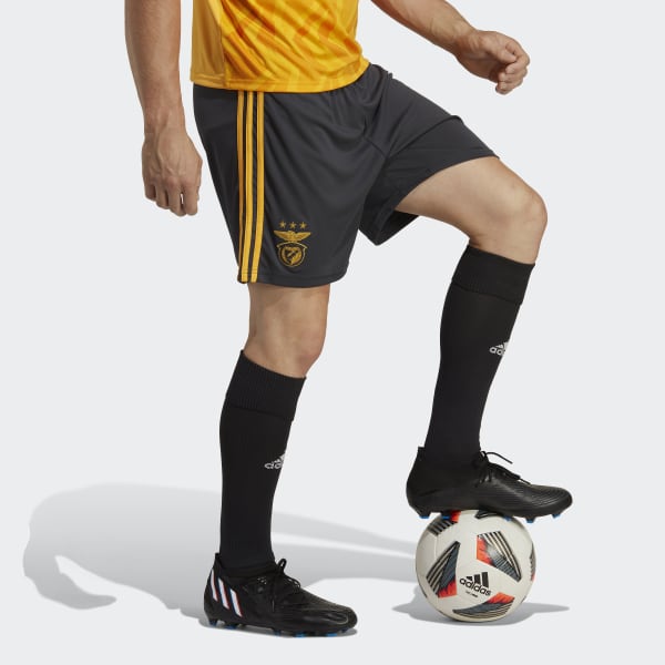 Gris Pantalón corto segunda equipación Benfica 22/23