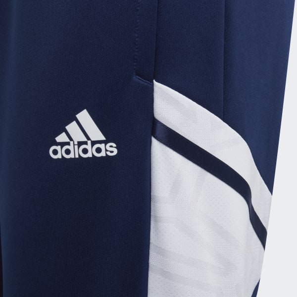Blu Pantaloni da allenamento Condivo 22