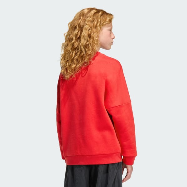 Rojo Sudadera HOLGADA BLOQUEADA DE CUELLO REDONDO