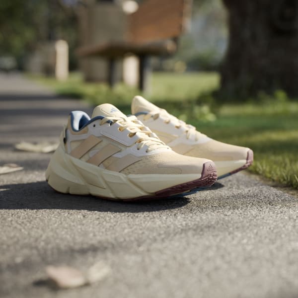 Zx 2024 900 beige