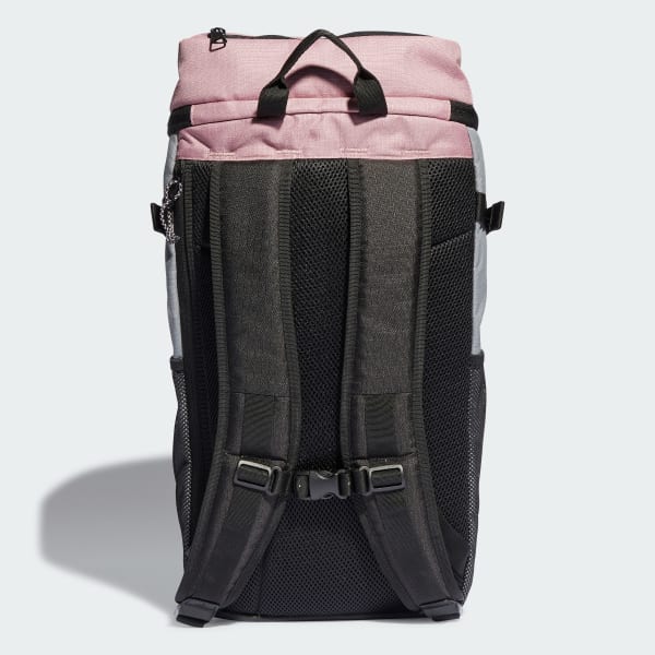 Rosa Zaino Xplorer