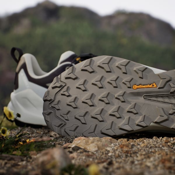 Adidas adidas National Geographic TERREX Trailmaker 2 GORE-TEX Hiking Shoes BUY IN AUSTRALIA