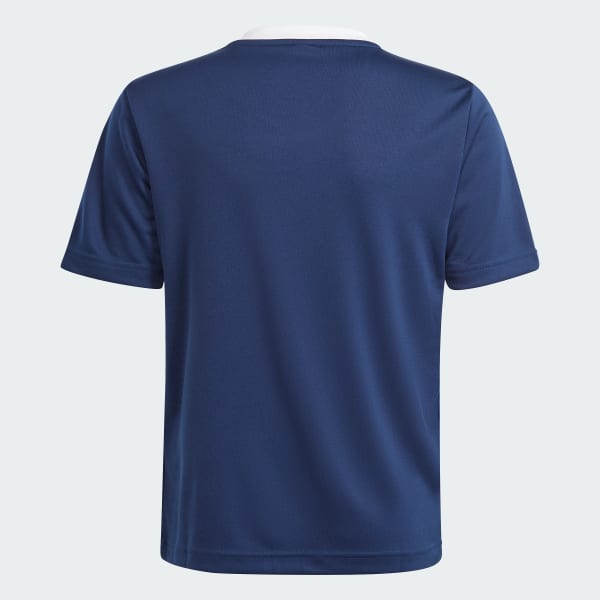Blue Entrada 22 Jersey