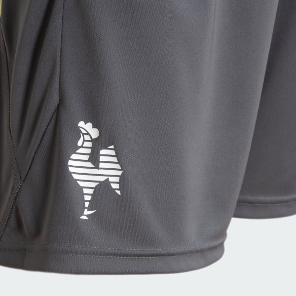 Cinza Shorts Treino Atletico Mineiro 24/25