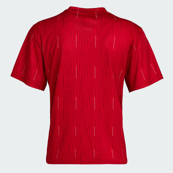 adidas Team Türkiye 100. Yila Özel Hatira Tişört - Kırmızı