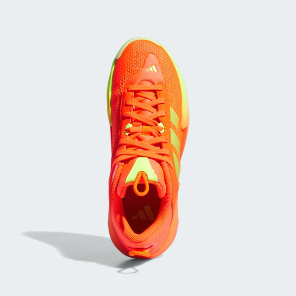 Exhibit Select Mid Shoes
