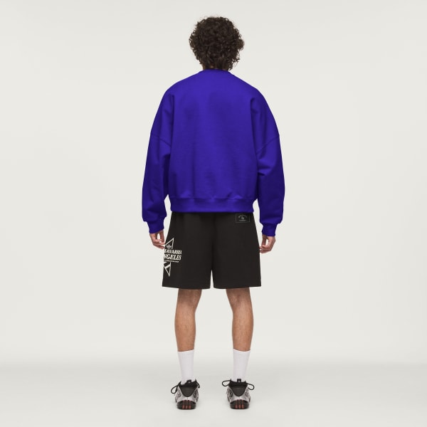 Blauw Chavarria Star Logo Sweater