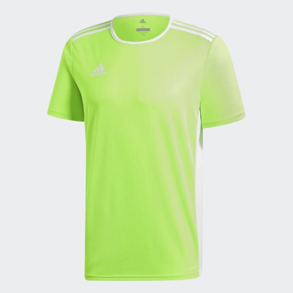 Verde Camiseta Entrada18