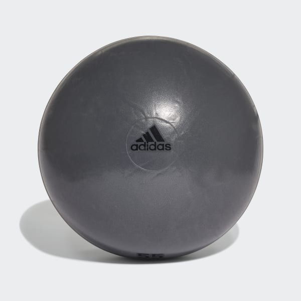 Γκρι Gymball 55 cm