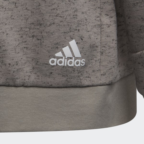 Gra Future Icons 3-Stripes Hooded Sweatshirt