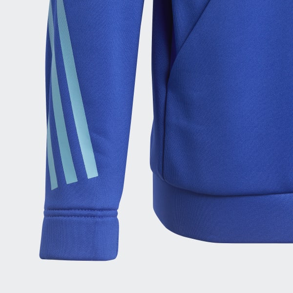 Bla Train Icons AEROREADY 3-Stripes hættetrøje
