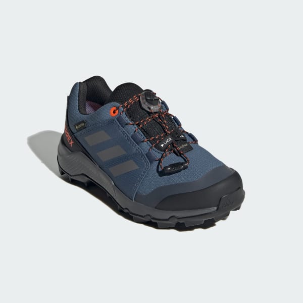 Blue Terrex GORE-TEX Hiking Shoes