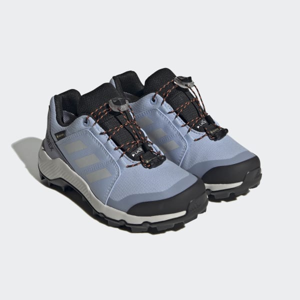 Blue Terrex GORE-TEX Hiking Shoes