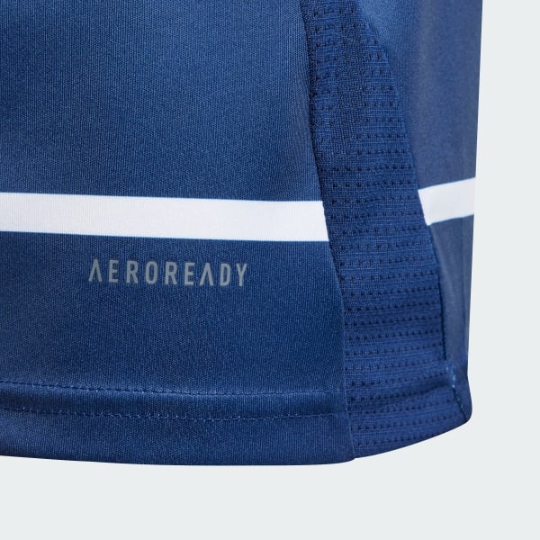 Azul Camisola Alternativa 24/25 do Hamburger SV – Criança