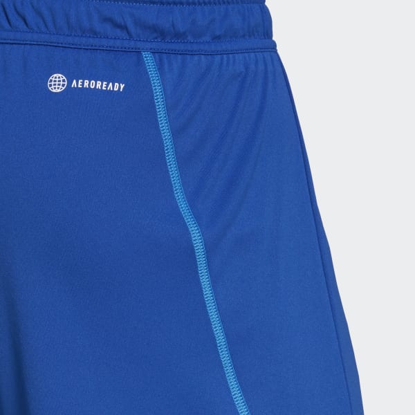 modrá Germany Tiro 23 Goalkeeper Shorts MGW33