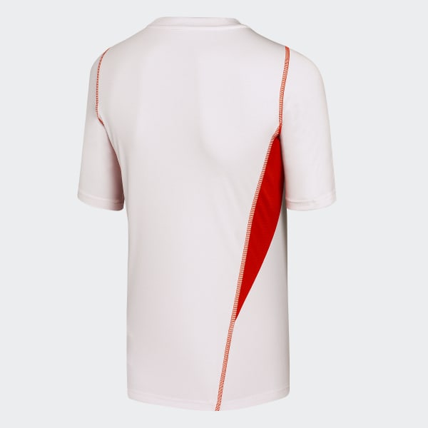 Gris Camiseta de Entrenamiento Chile Tiro 23