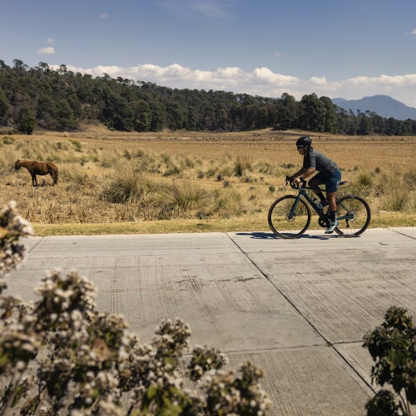 zwart The Parley Fietsshirt met Korte Mouwen MLZ14