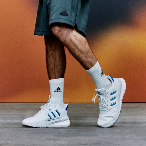 Tenis X PLR Phase