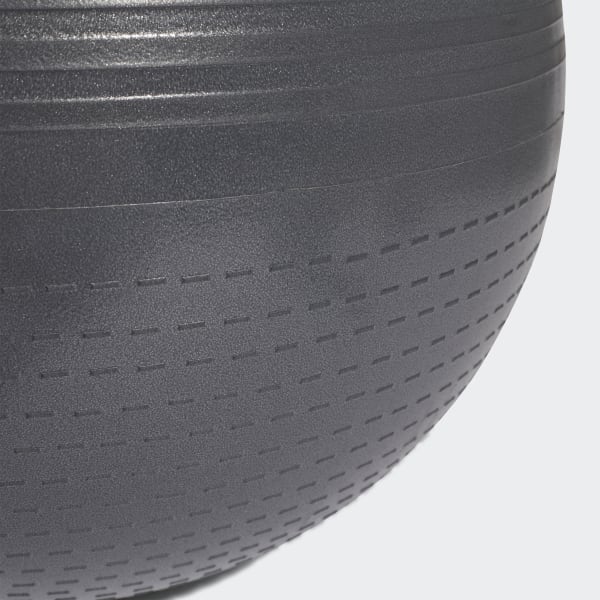 Gris Ballon de gym 55 cm
