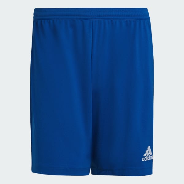 Blue Entrada 22 Shorts