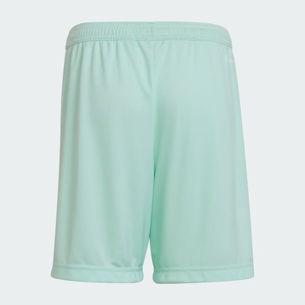Πράσινο Entrada 22 Shorts