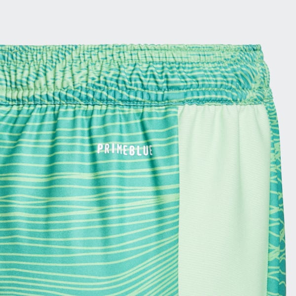 zelená Arsenal 21/22 Goalkeeper Shorts