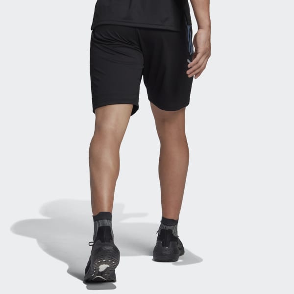 Svart All Blacks Rugby Gym Shorts IXR67