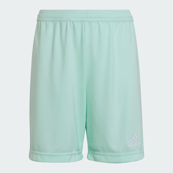 Πράσινο Entrada 22 Shorts