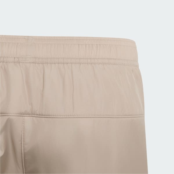Beige Terrex Multi Wind Fleece Pants