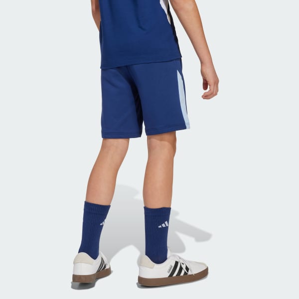 modrá Šortky Seasonal Essentials Colorblock Kids