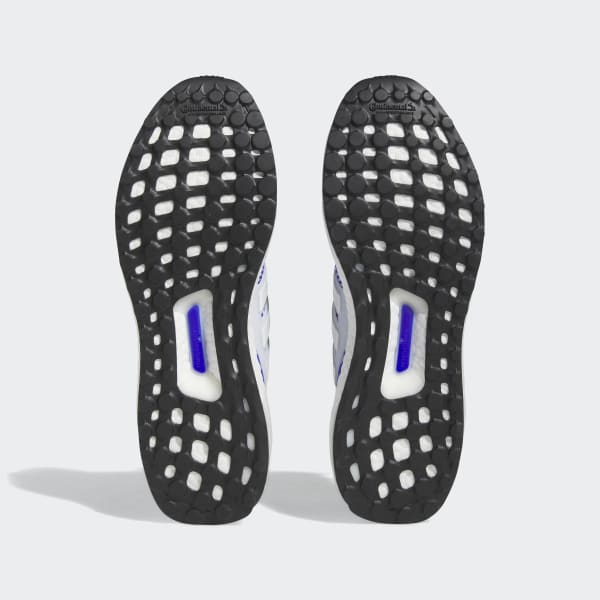 Blue Ultraboost 1.0 Shoes