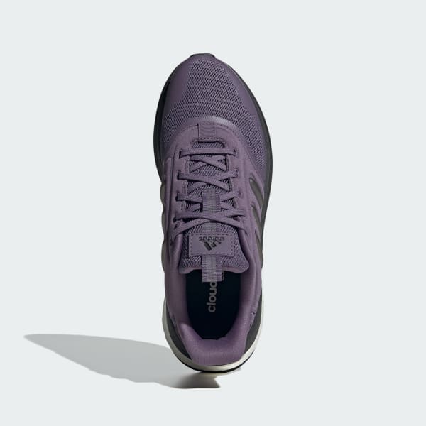 Morado Tenis X_PLR Phase