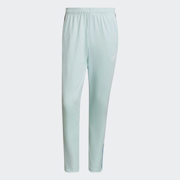 Turquesa Pantalón Deportivo Tiro