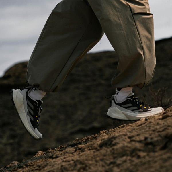 Adidas adidas National Geographic TERREX Trailmaker 2 GORE-TEX Hiking Shoes BUY IN SINGAPORE