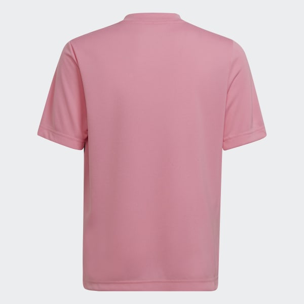 Rosa Maglia Entrada 22 Graphic