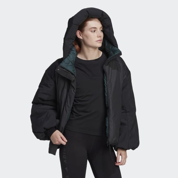 Black Terrex MYSHELTER COLD.RDY Jacket