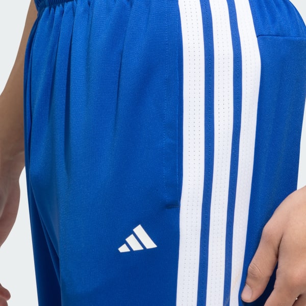 Blue INDIA T20 INTERNATIONAL CRICKET PANT 2026