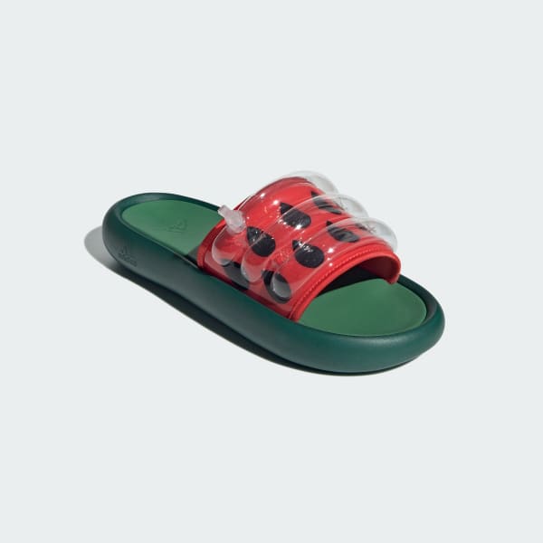 Green ZPLAASH Slides