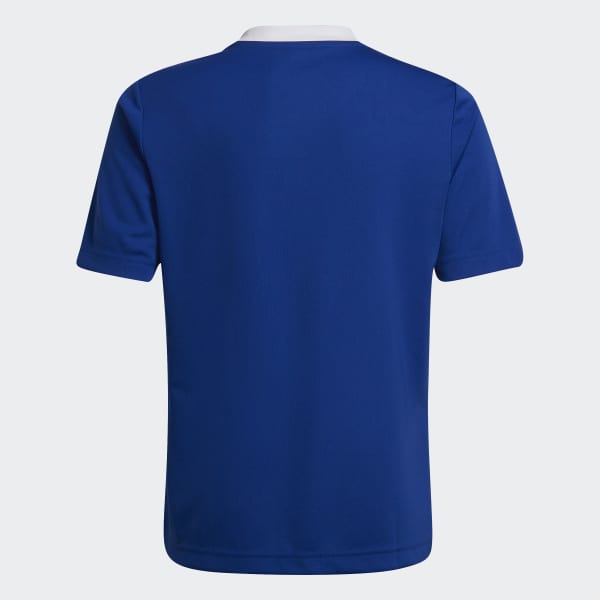 Blue Entrada 22 Jersey
