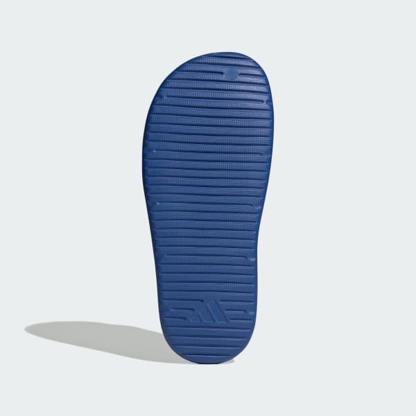 Blue Znsory Slides
