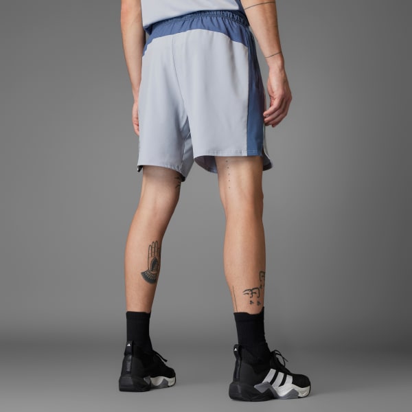 sedá Šortky Tech Apparel Colorblock