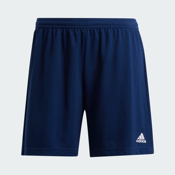 Blau Entrada 22 Shorts