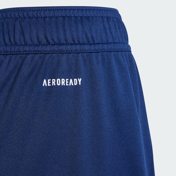 Blue Fortore 23 Shorts