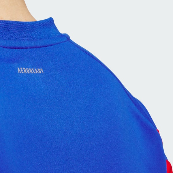 Adidas skateboarding roll neck top