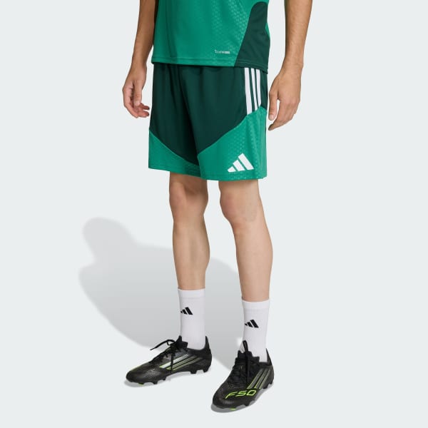 Gronn Algerie 26 Training Shorts