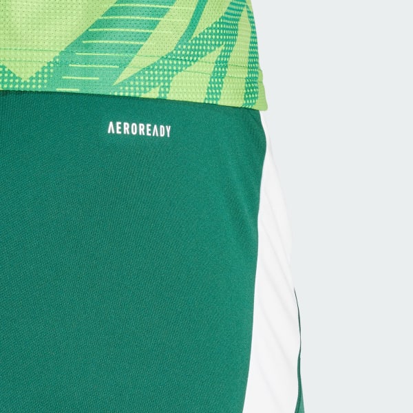 Tiro 24 Shorts