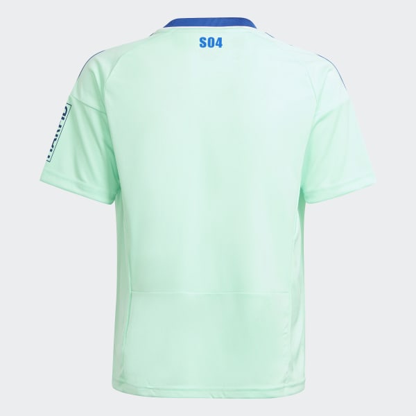 Grun Schalke 04 22/23 Ausweichtrikot