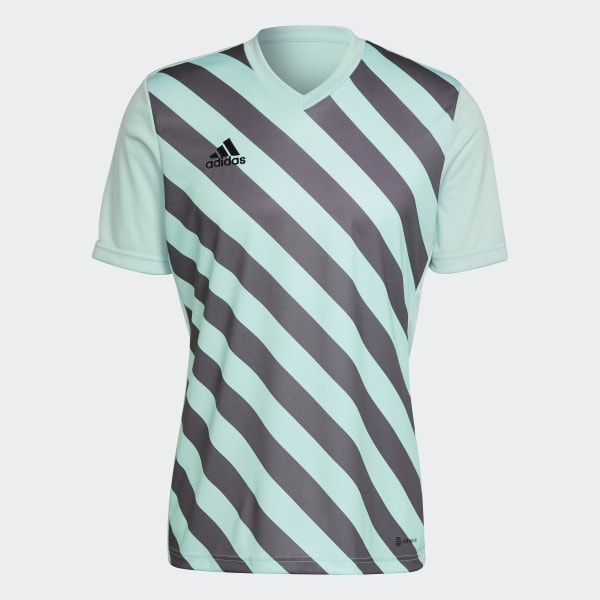 tyrkysová Entrada 22 Graphic Jersey CZ137