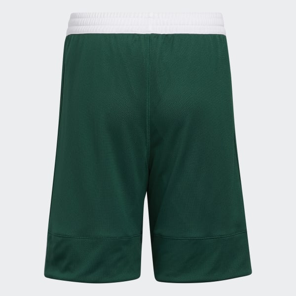 Grun 3G Speed Reversible Shorts